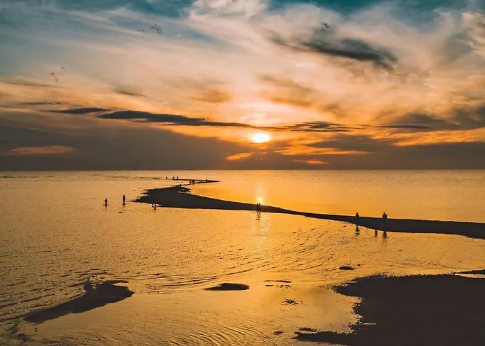 Seaview * 卡拉约基