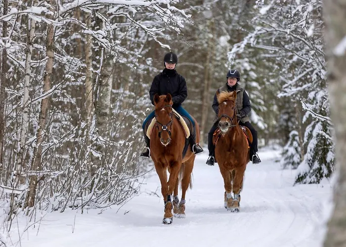 公寓 Seaview 卡拉约基