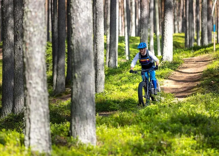 Seaview 卡拉约基